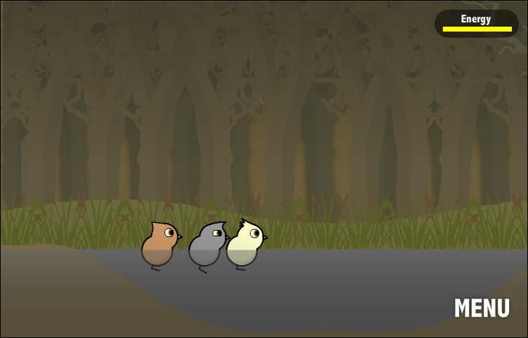 screenshot walkthrough