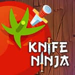 Knife Ninja