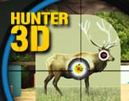 Hunter 3D